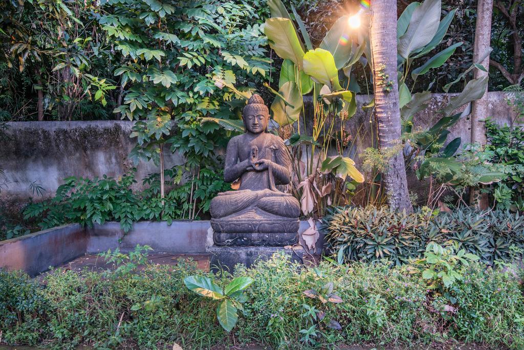 Stunning Villa Lily Lovina  Luaran gambar